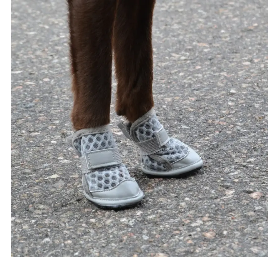 Zomer Hondenschoenen