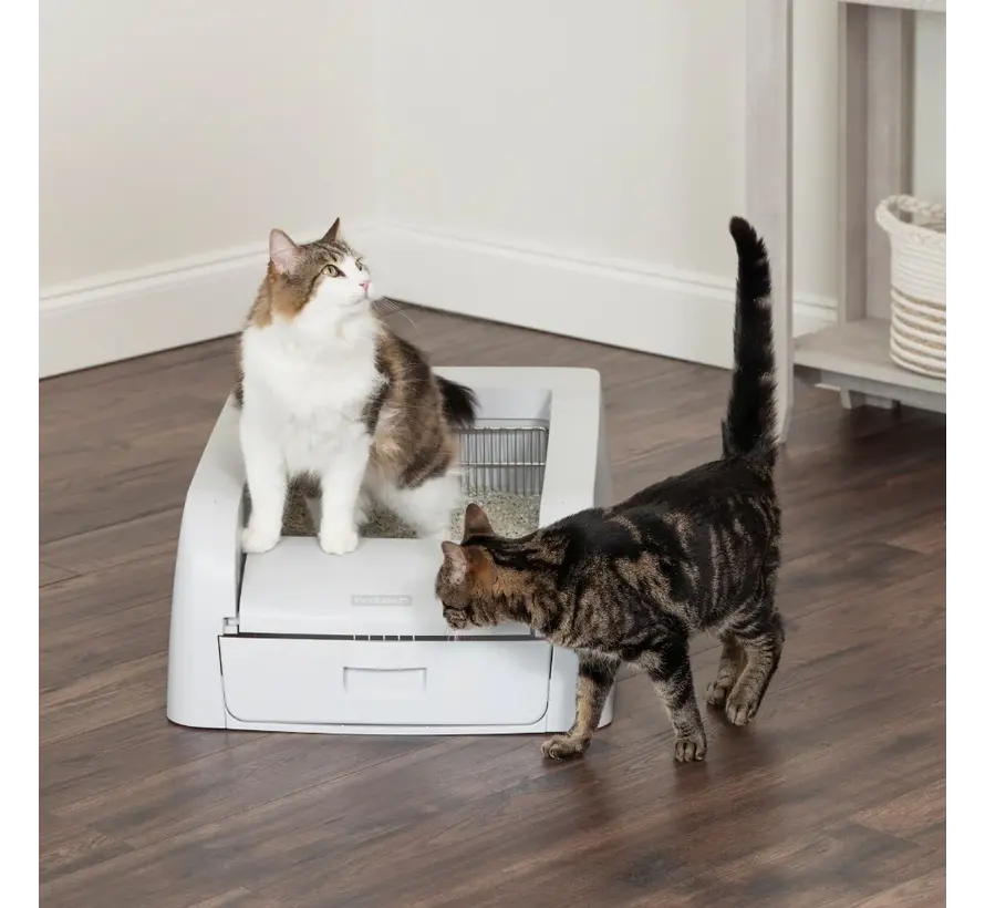 ScoopFree™ Self-Cleaning Litter Box