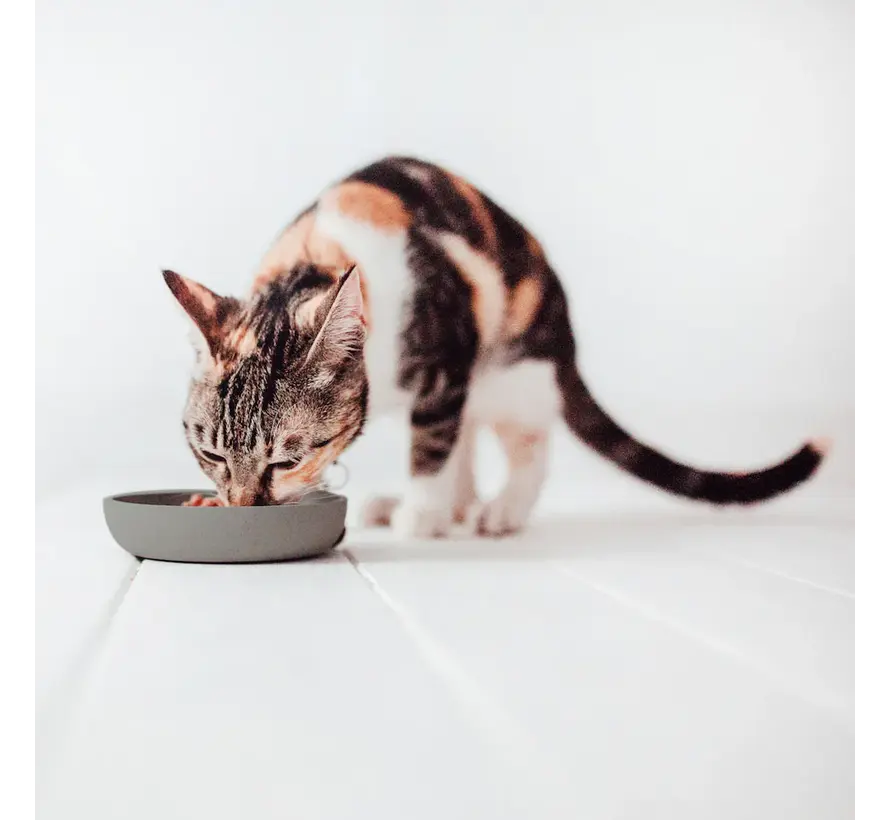 BAMBOO Cat Bowl Grey