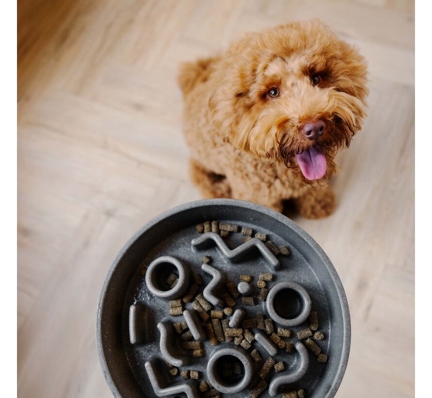 BAMBOO Slow Feeder Grijs