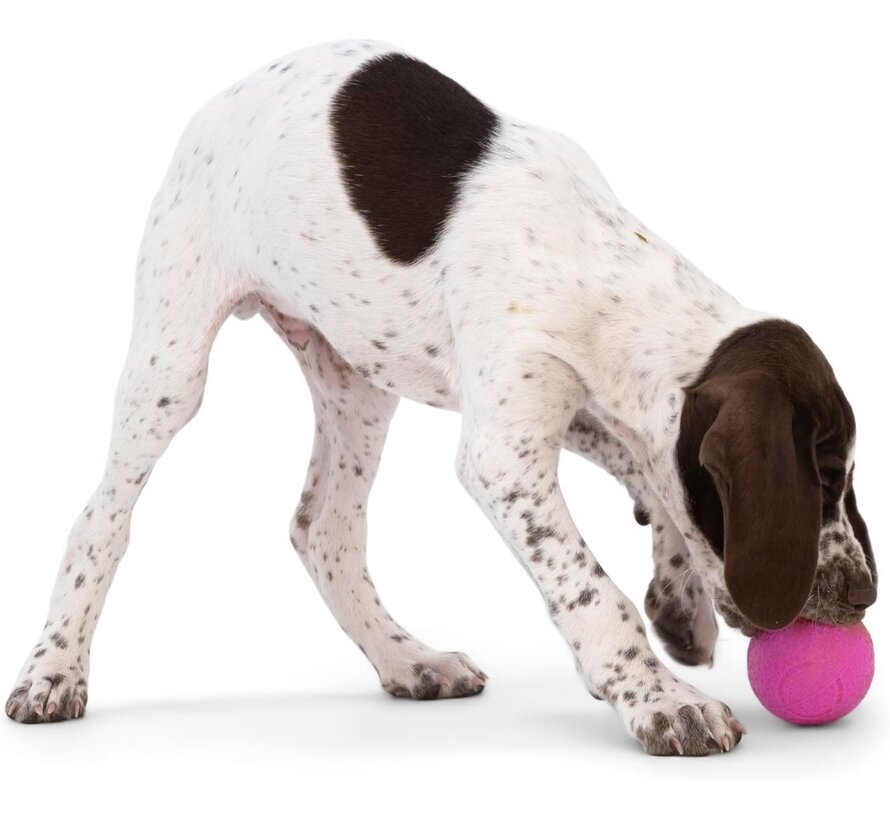 Dog Toy Zogoflex Echo Boundr