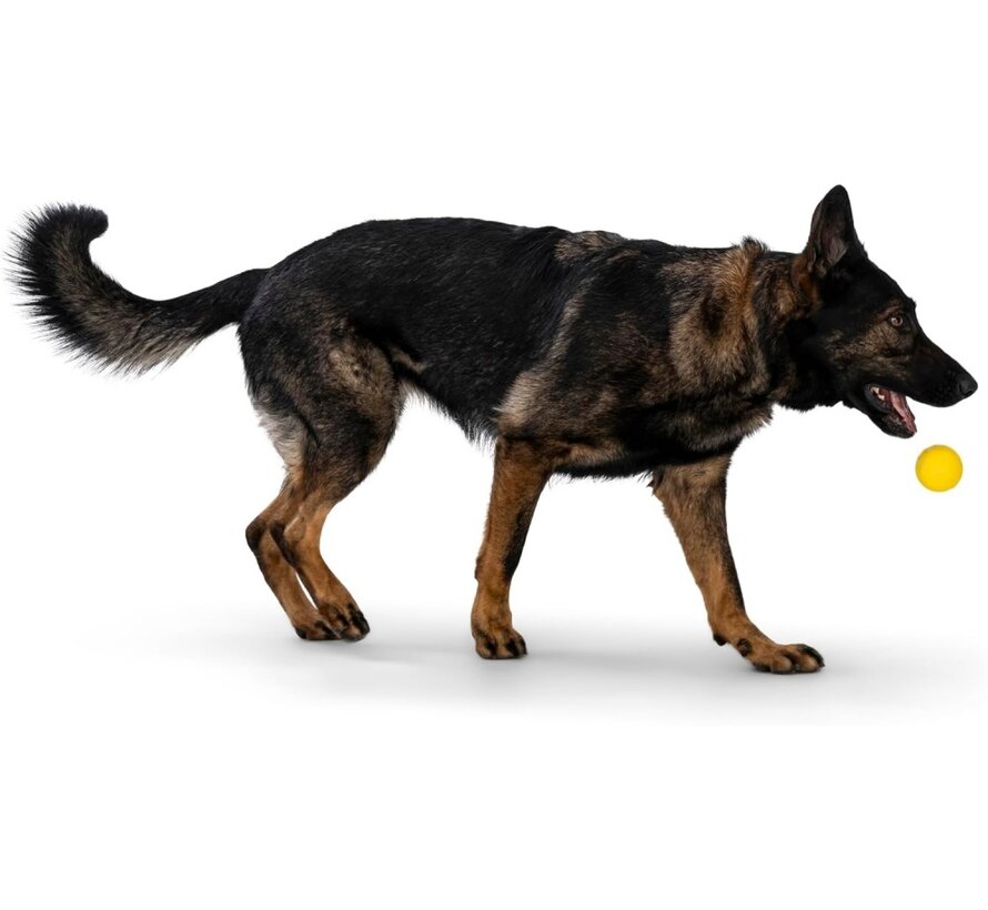 Dog Toy Zogoflex Echo Boundr