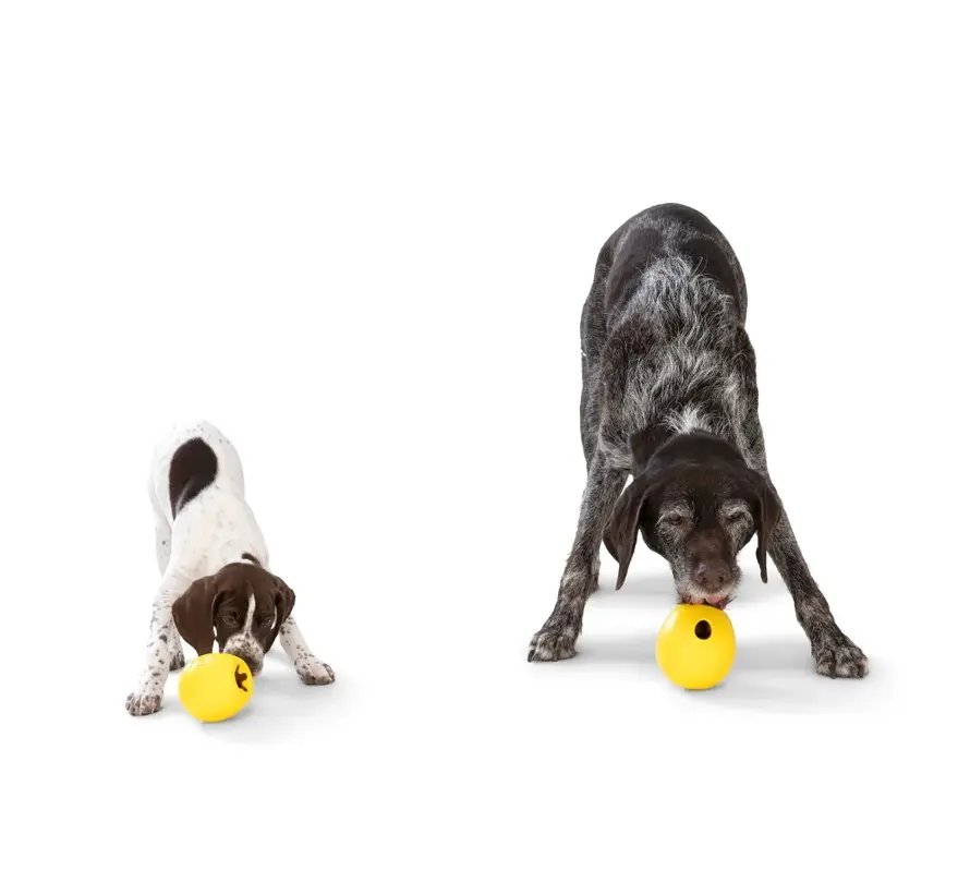 Dog Toy Zogoflex Echo Rumbl