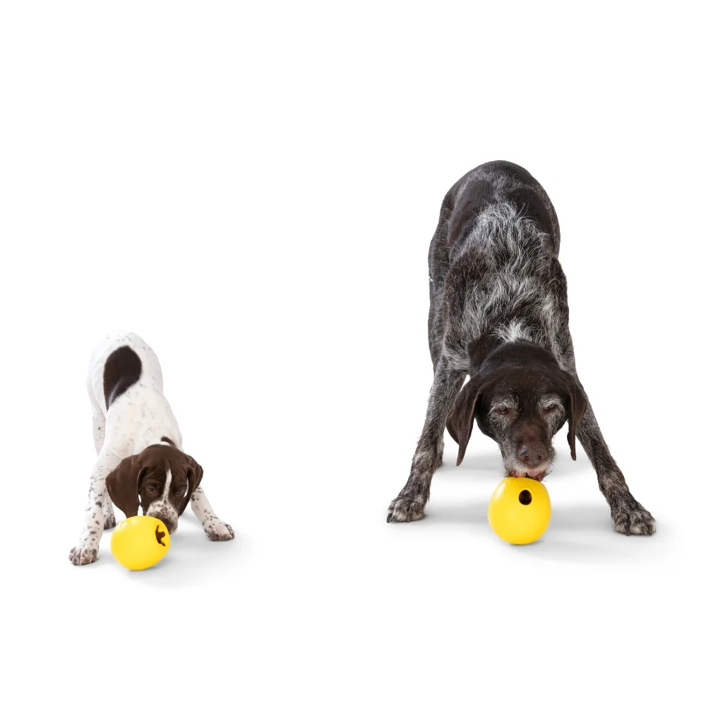 West Paw Hondenspeelgoed Zogoflex Echo Rumbl - Petsonline