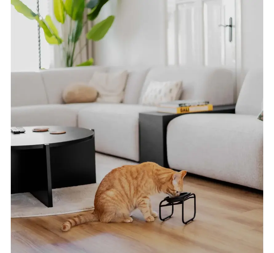 Butler Single Feeding Bowl Stand for Cats