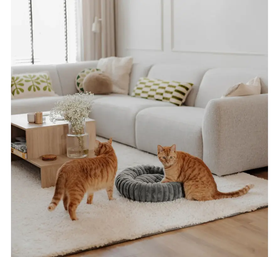 Kattenmand Ribba Grijs