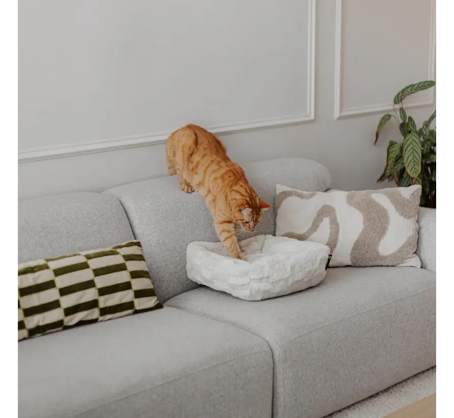 Kattenmand Mosa Taupe Merengue