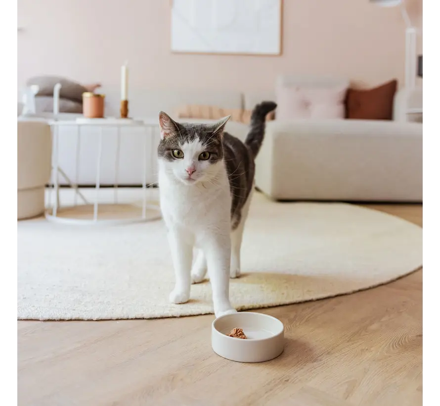 Cat Bowl Dusk Champagne