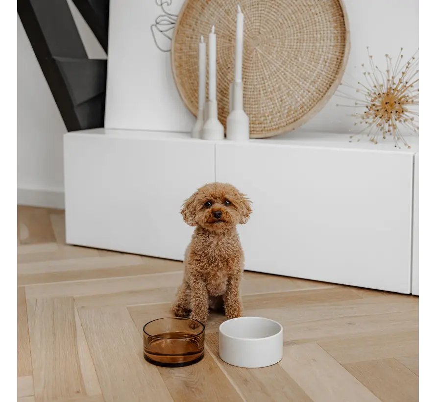 Ceramic Dog Bowl Dusk Champagne