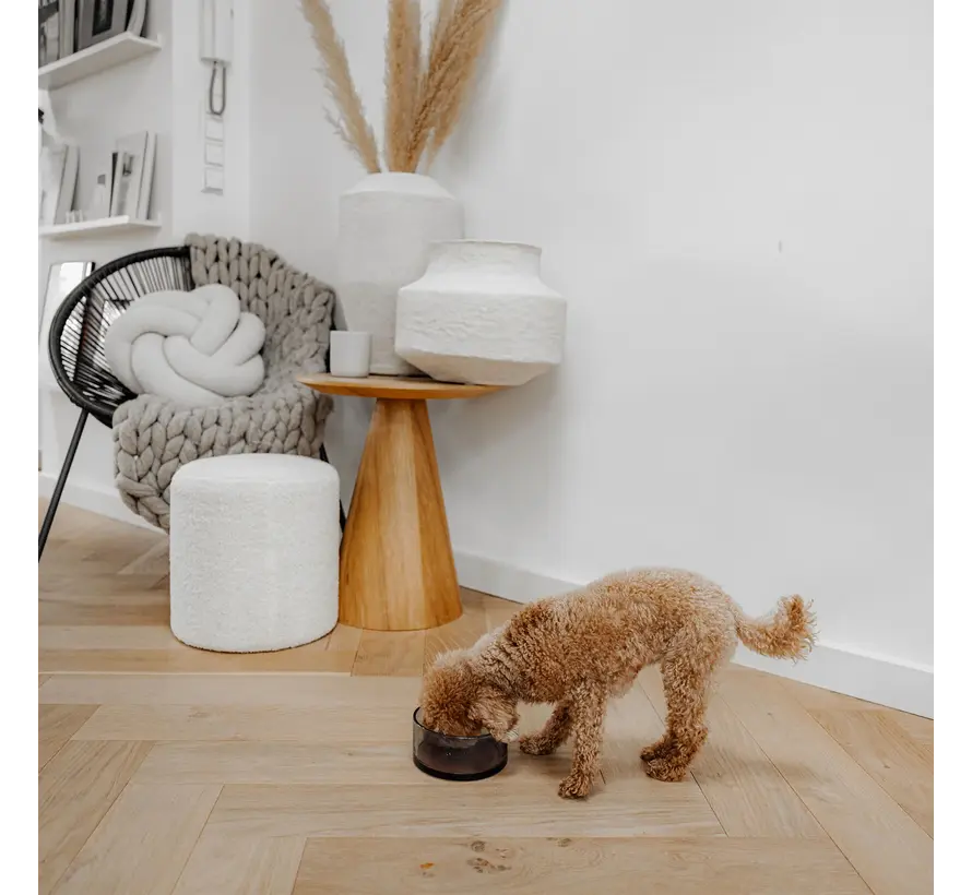 Dog Bowl DAWN Black