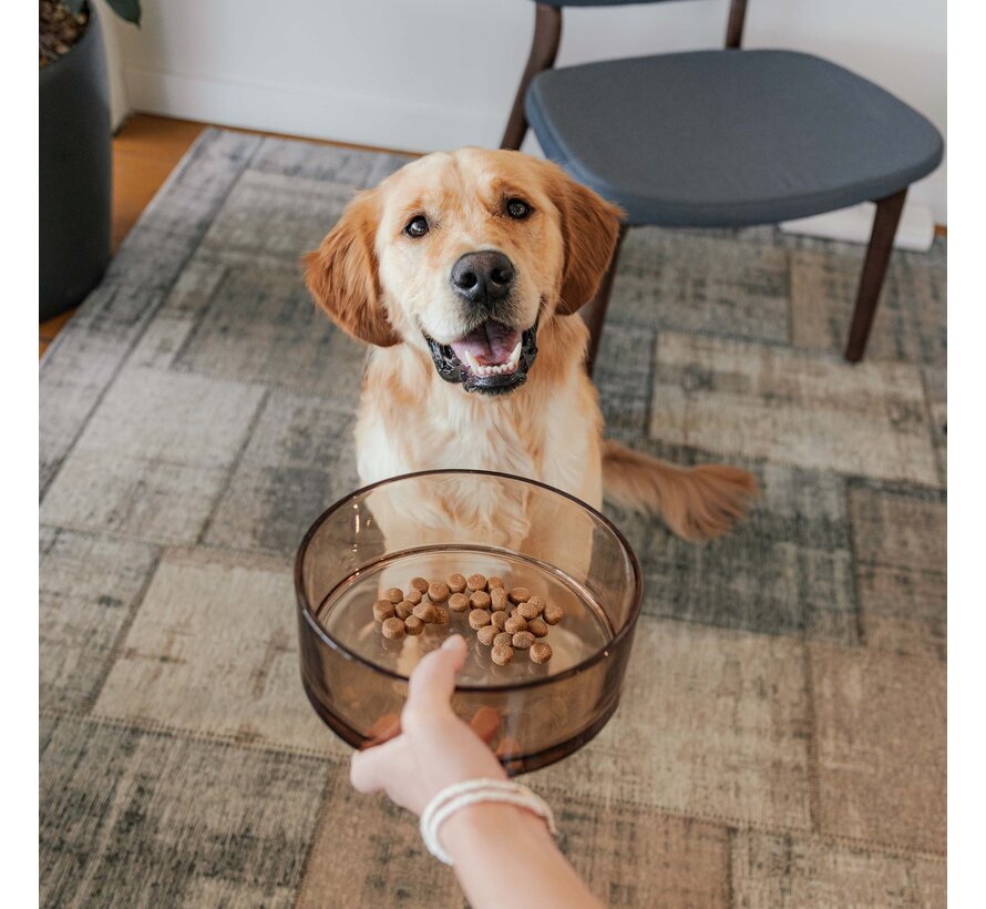 Dog Bowl DAWN Champagne