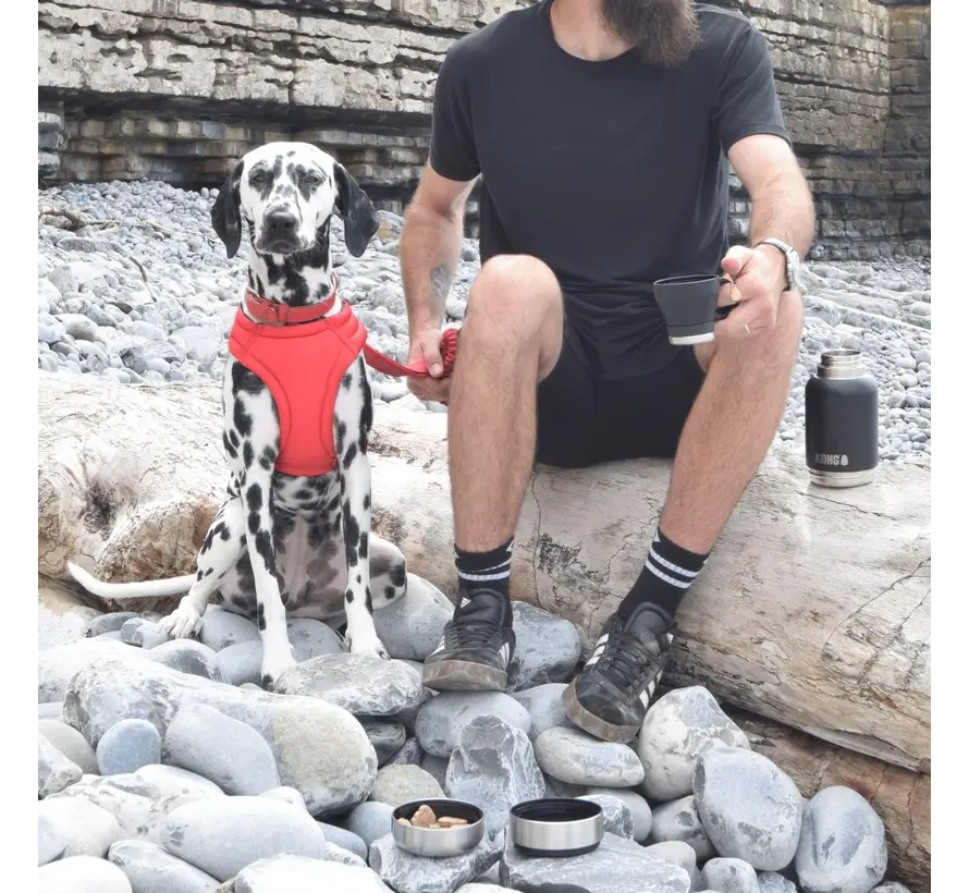 H2O Duo Day Trek: 3-in-1 Dog Water Bottle and Feeder