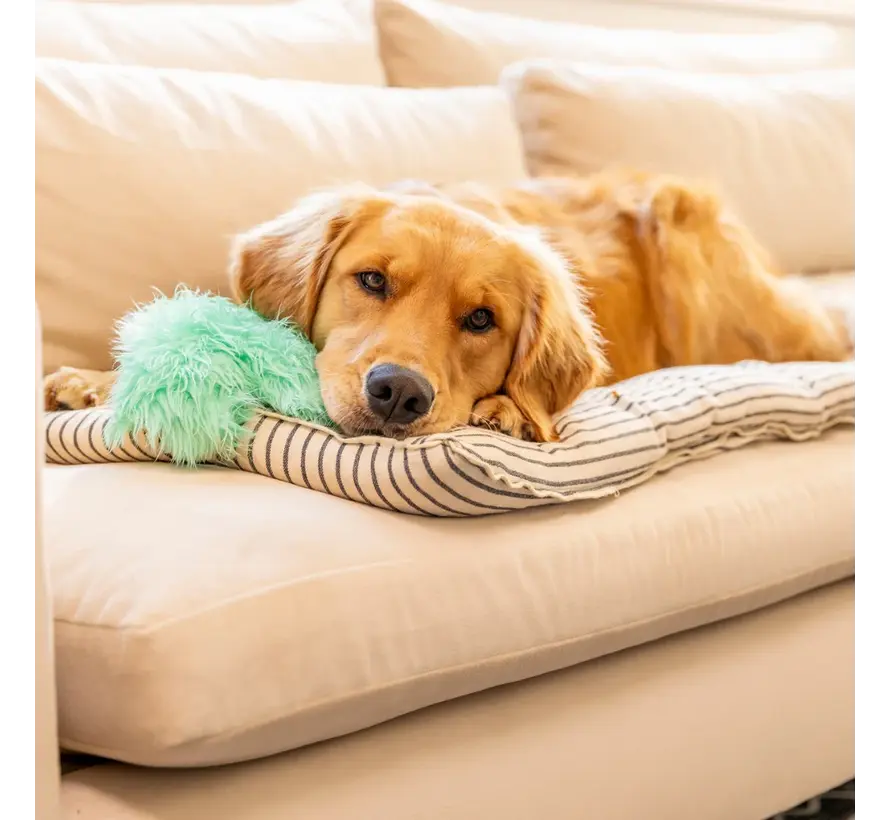 Dog Toy Rowdies Freya