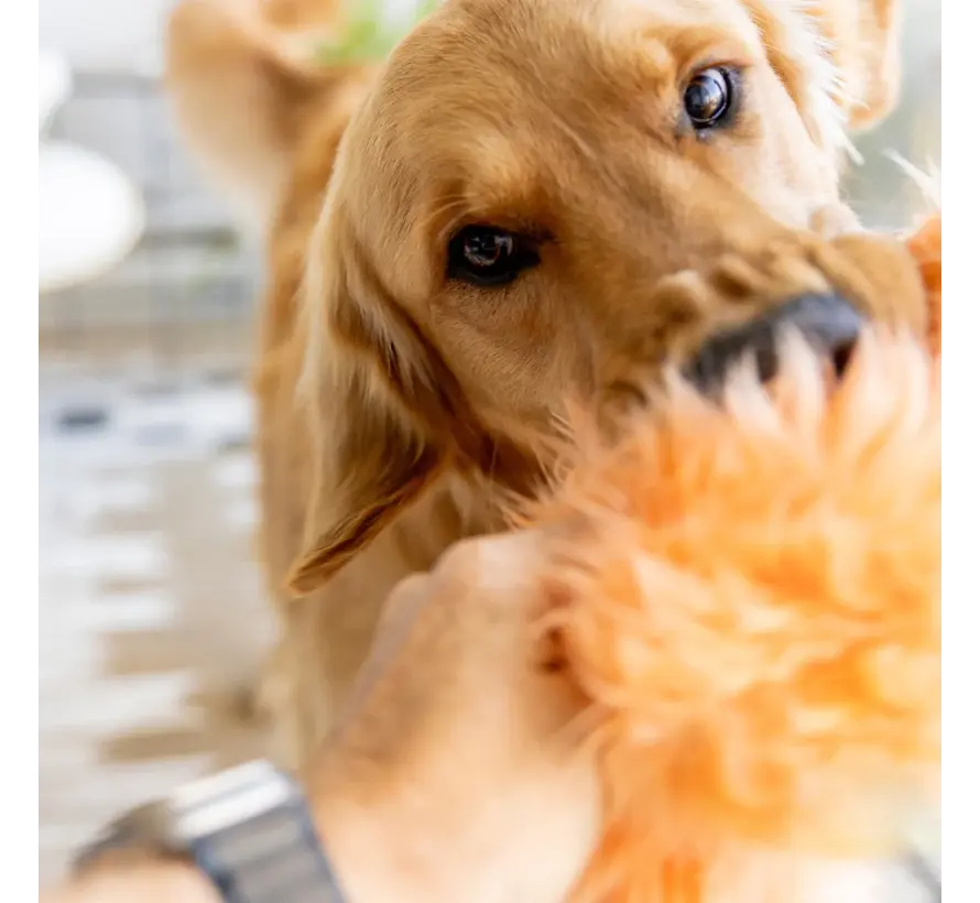 Dog Toy Rowdies Erik