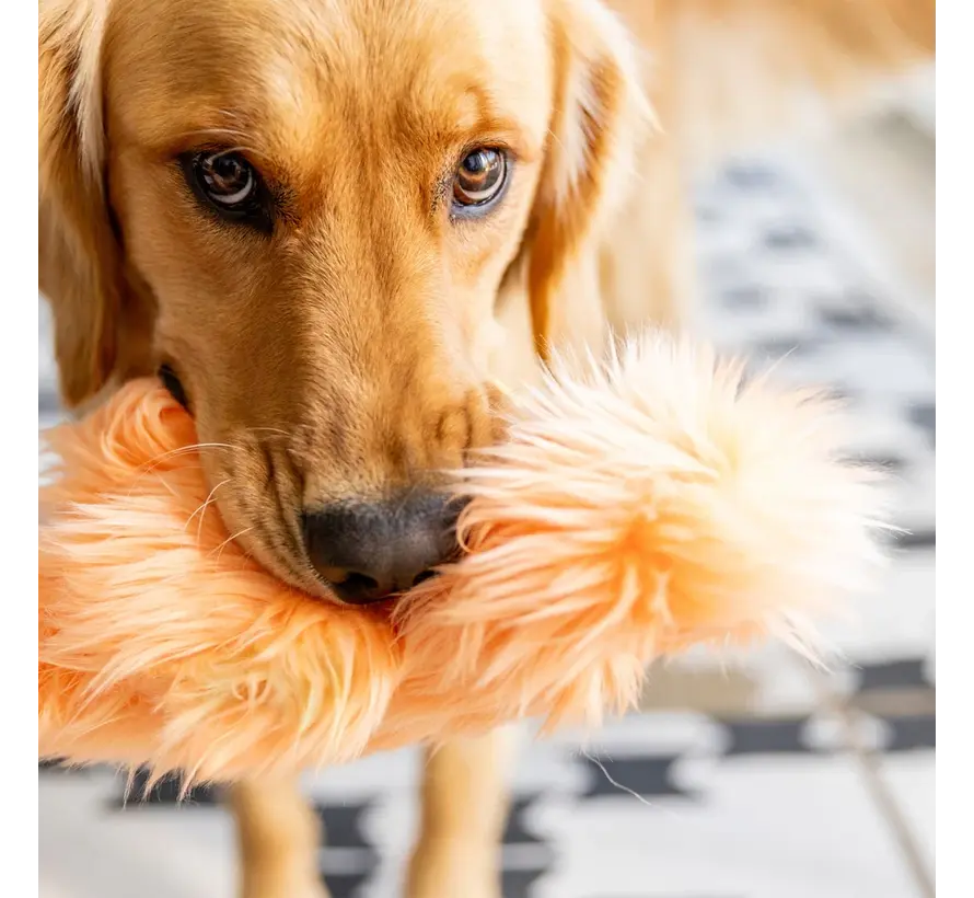 Dog Toy Rowdies Signe