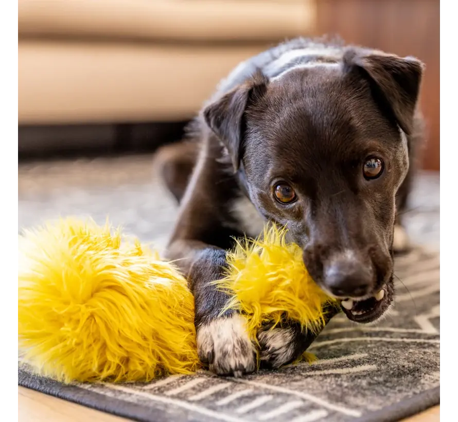 Dog Toy Rowdies Leif