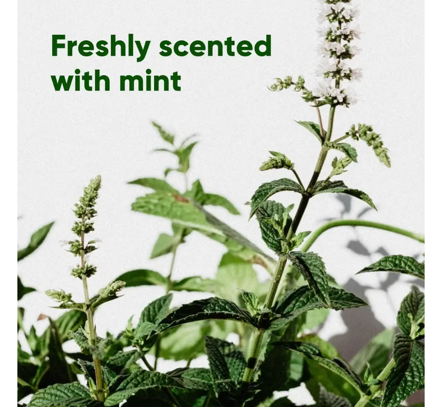 Gerecyclede Poepzakjes met Handvatten