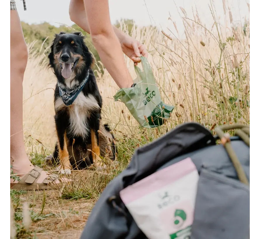 Gerecyclede Poepzakjes met Handvatten
