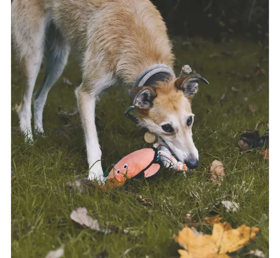 Dog Toy Rough and Tough Crab