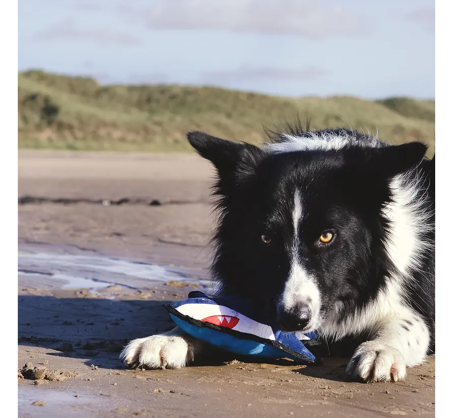 Hondenspeelgoed Rough and Tough Shark