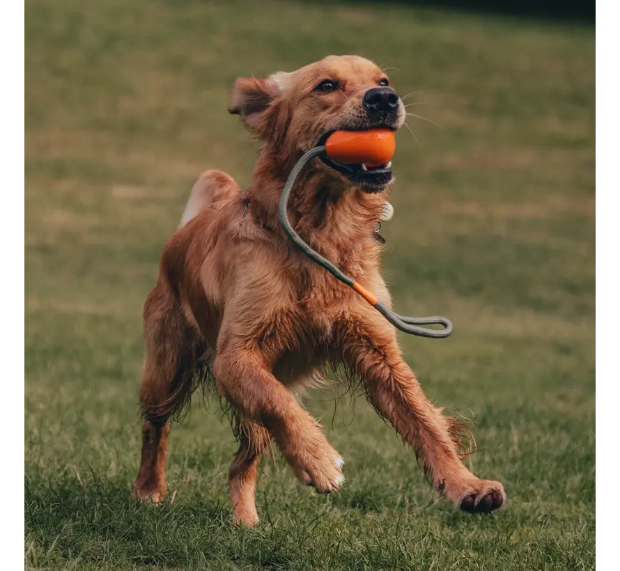 Hondenspeelgoed Slinger Pebble