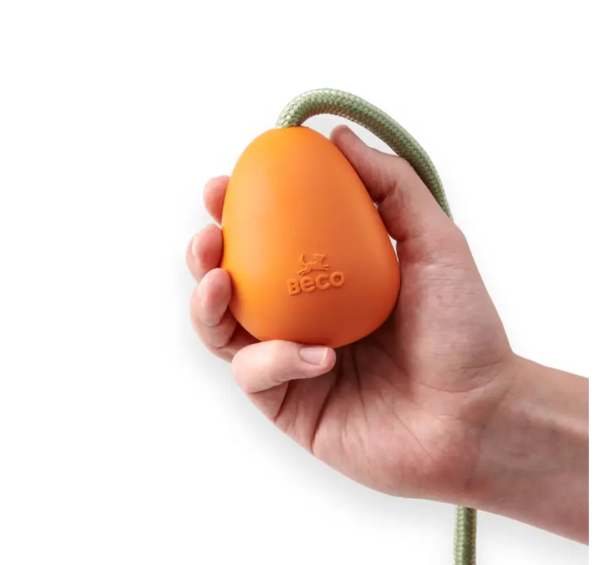 Hondenspeelgoed Slinger Pebble