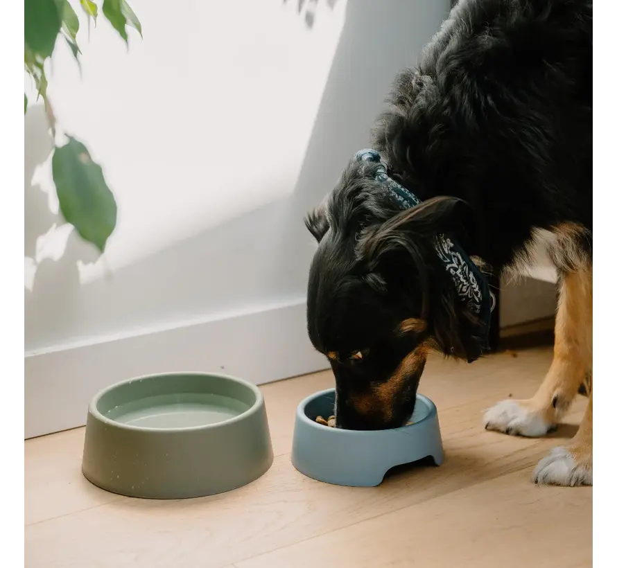 Dog Bowl Steady Blue
