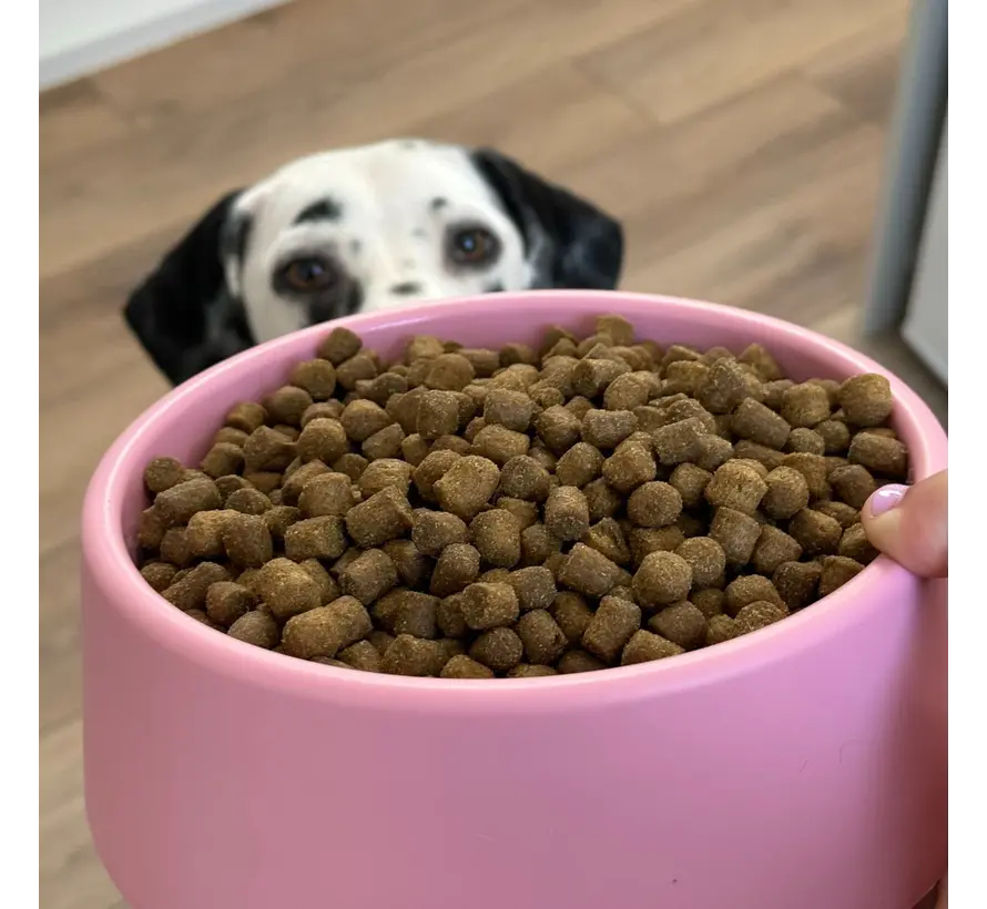 Hondenvoerbak Steady Roze