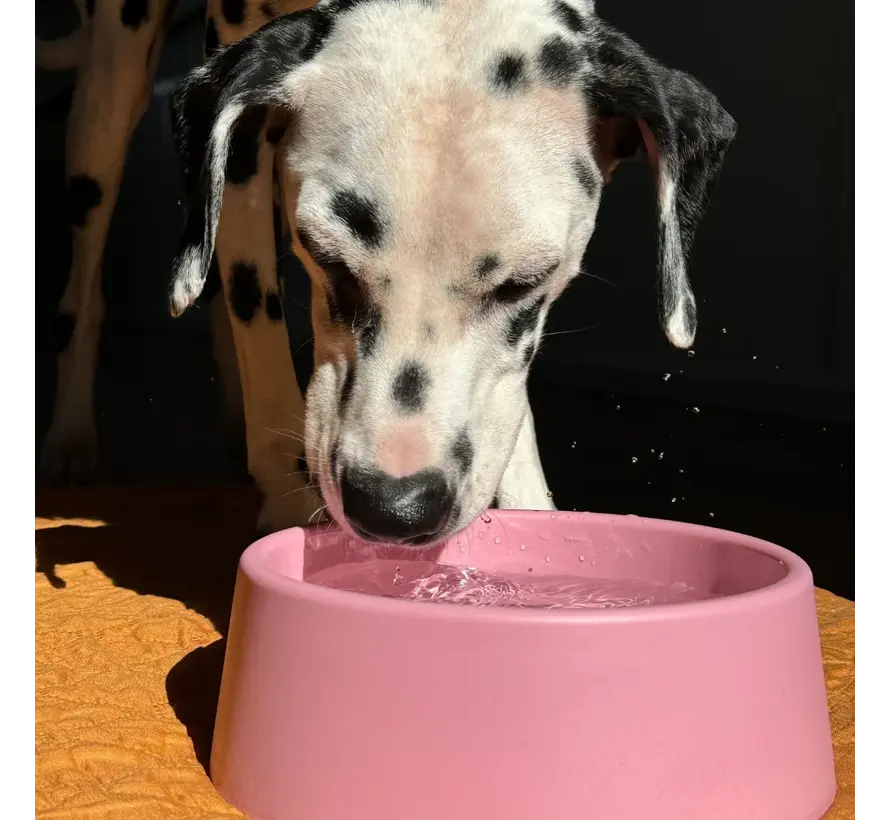Hondenvoerbak Steady Roze