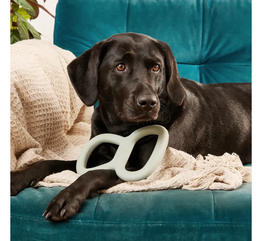 Dog Toy Tough Tugger