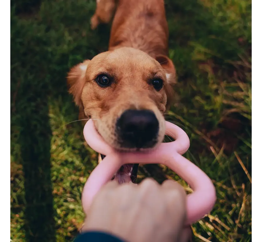 Dog Toy Tough Tugger