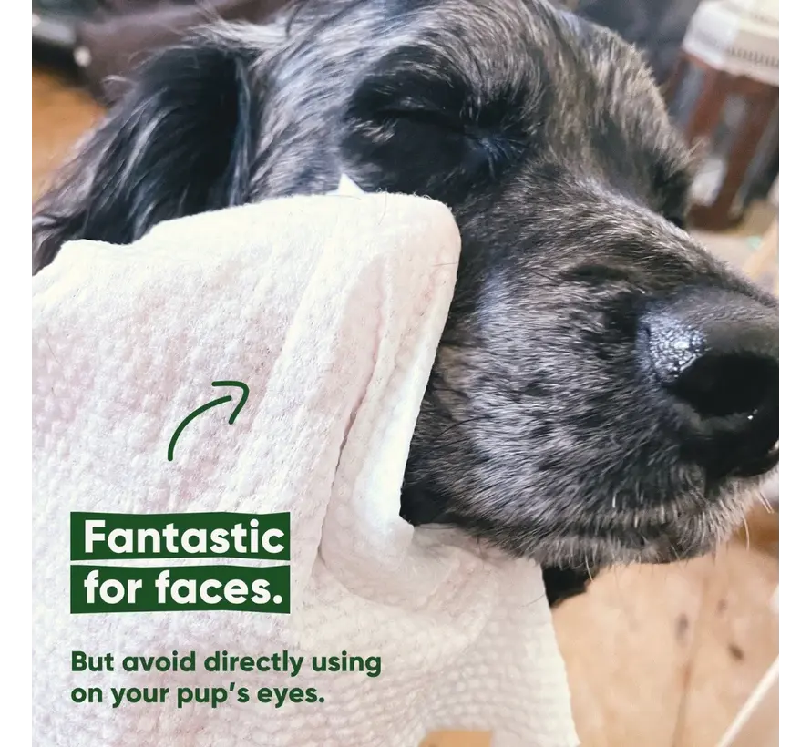 Bamboo Dog Wipes Coconut