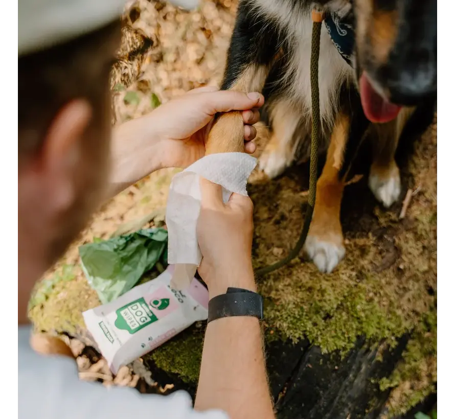 Bamboo Dog Wipes Coconut