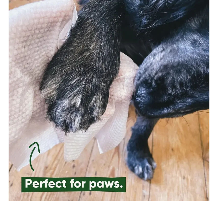 Bamboo Dog Wipes Unscented