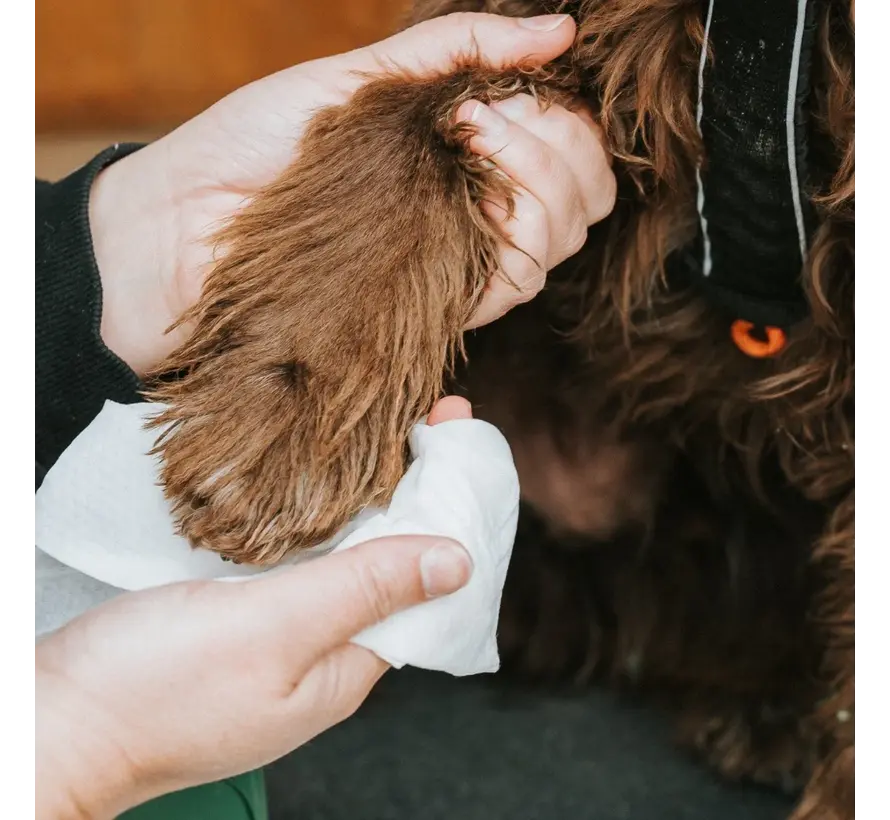 Bamboo Dog Wipes Unscented