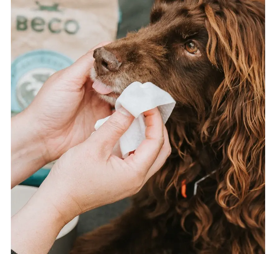 Bamboo Dog Wipes Unscented