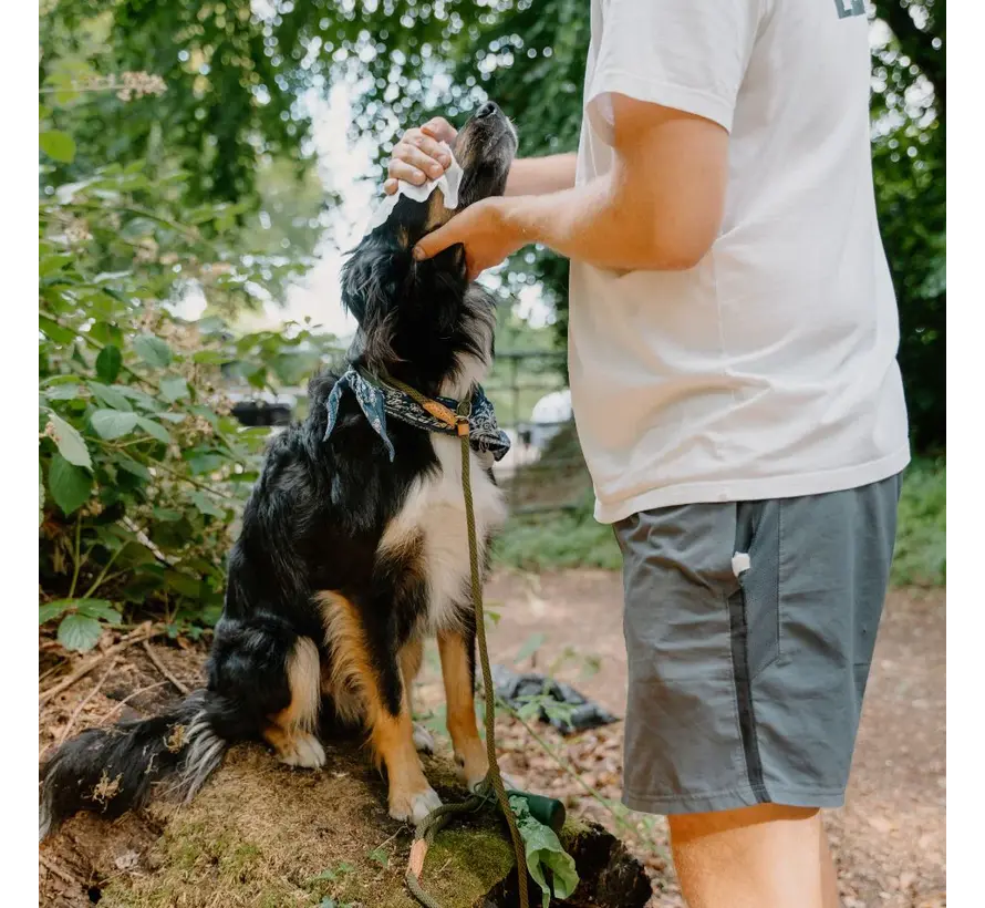 Bamboo Hondendoekjes Geurloos