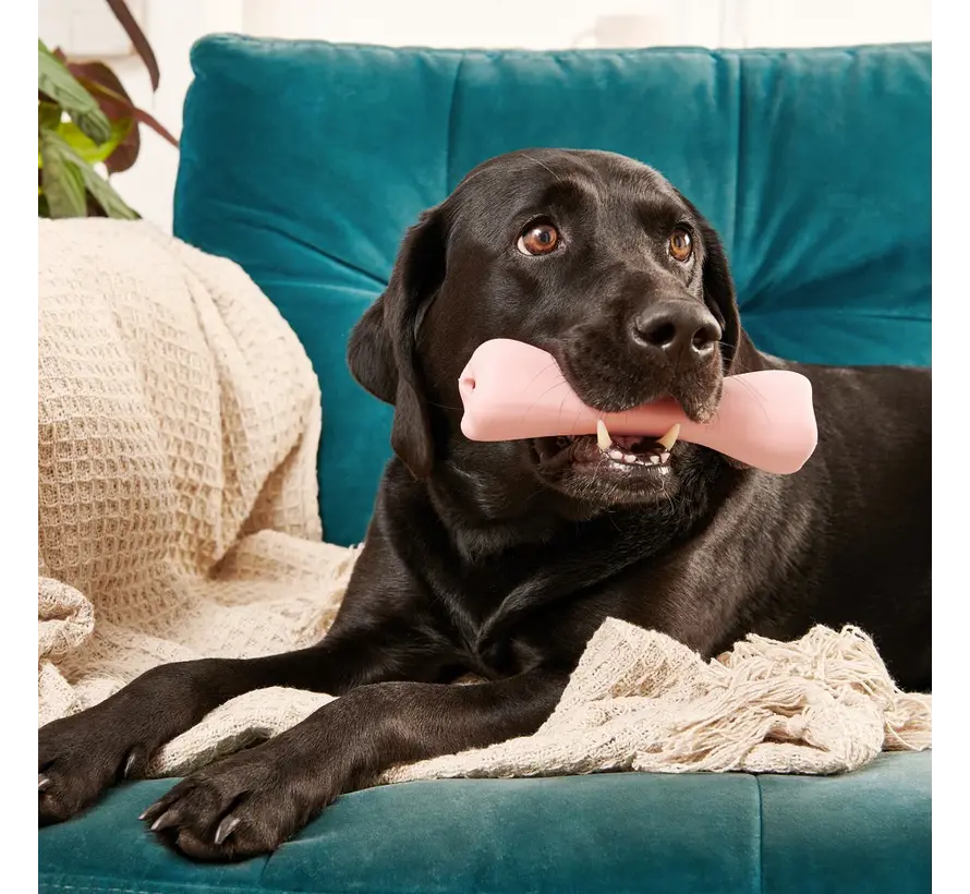 Hondenspeelgoed Treat Bone