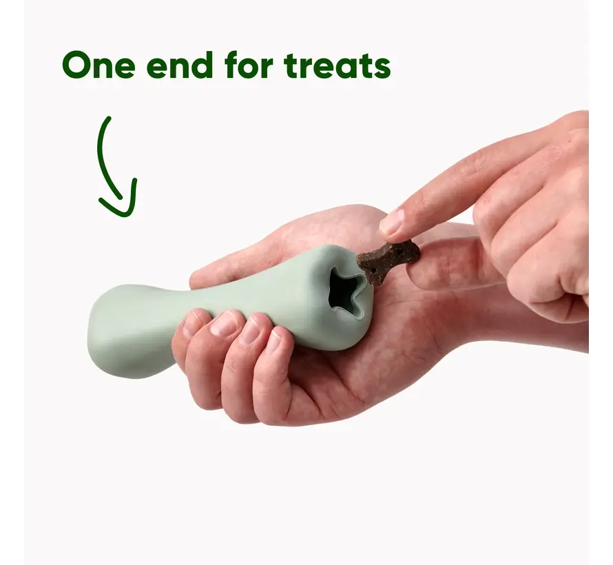 Hondenspeelgoed Treat Bone