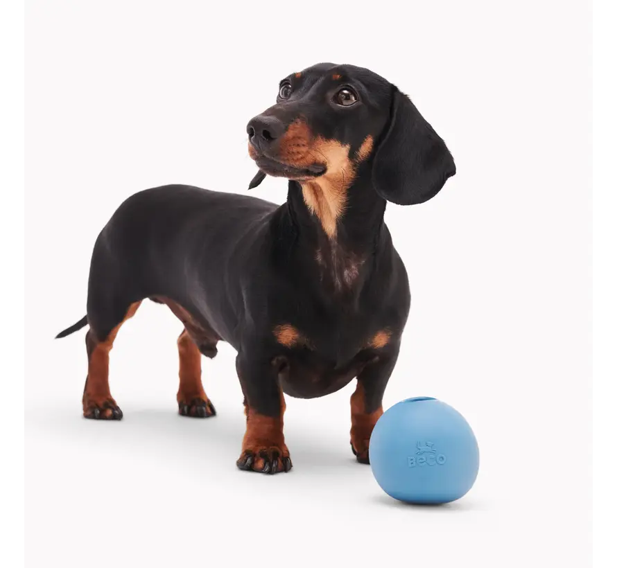 Interactive Dog Ball Wobble Ball