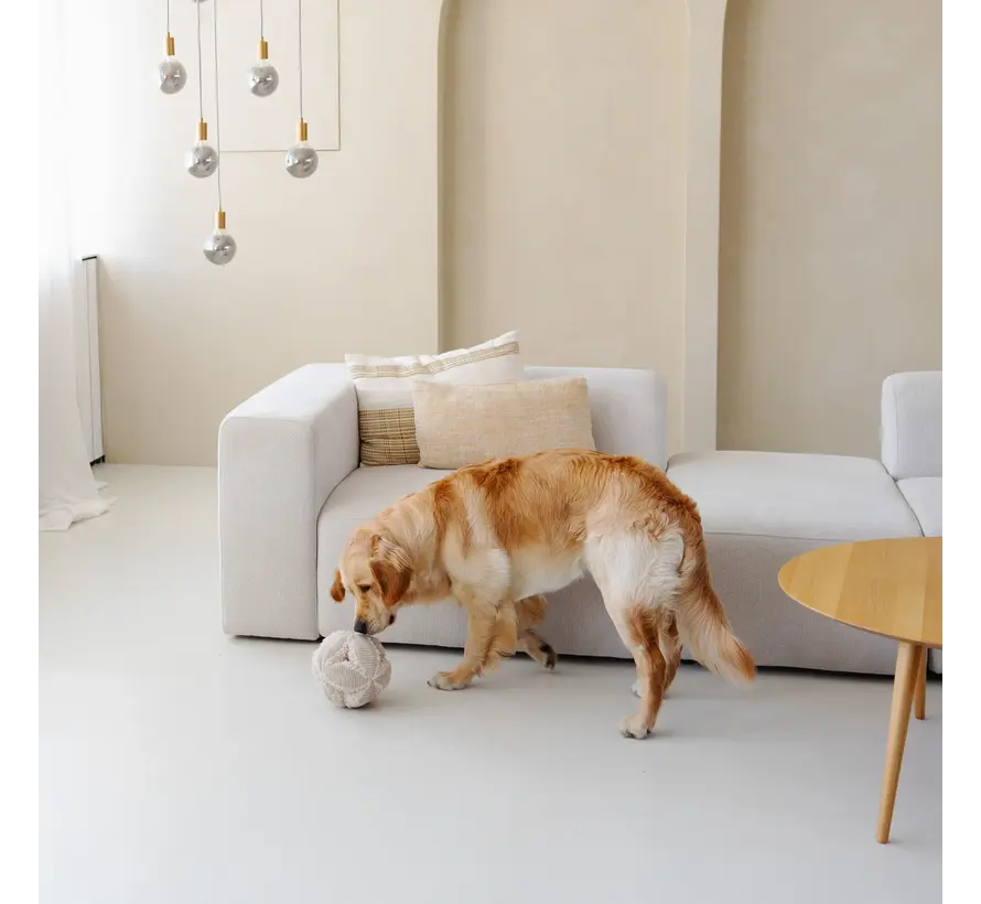 Dog Toy Snuffle Ball Merengue