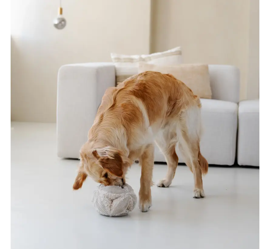 Dog Toy Snuffle Ball Merengue