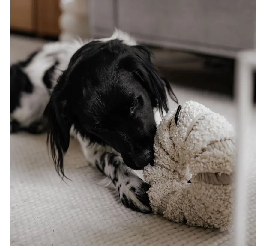 DAISY – Interactive Snuffle Toy Merengue