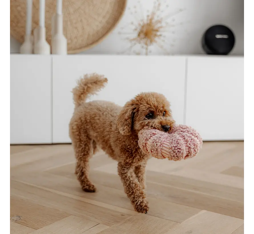 DAISY – Interactief Snuffelspeelgoed Pink