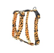 Rogz Dog Harness Fusion Cheetah