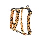 Dog Harness Fusion Cheetah