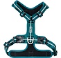 Dog Harness Expedition Sport Blue