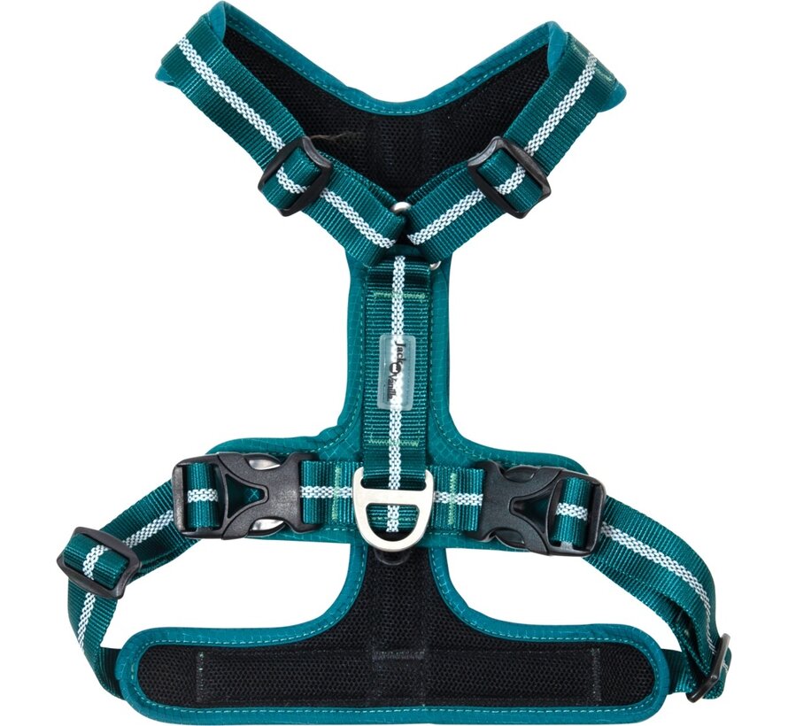 Dog Harness Expedition Sport Blue