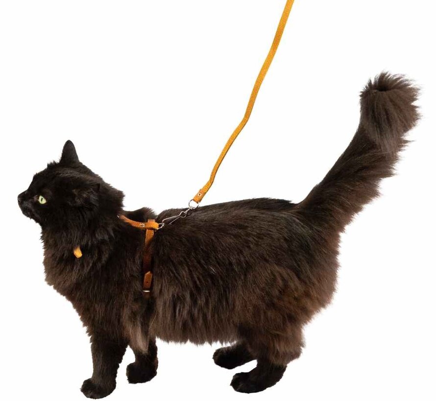 Cat Harness Greased Leather Cognac