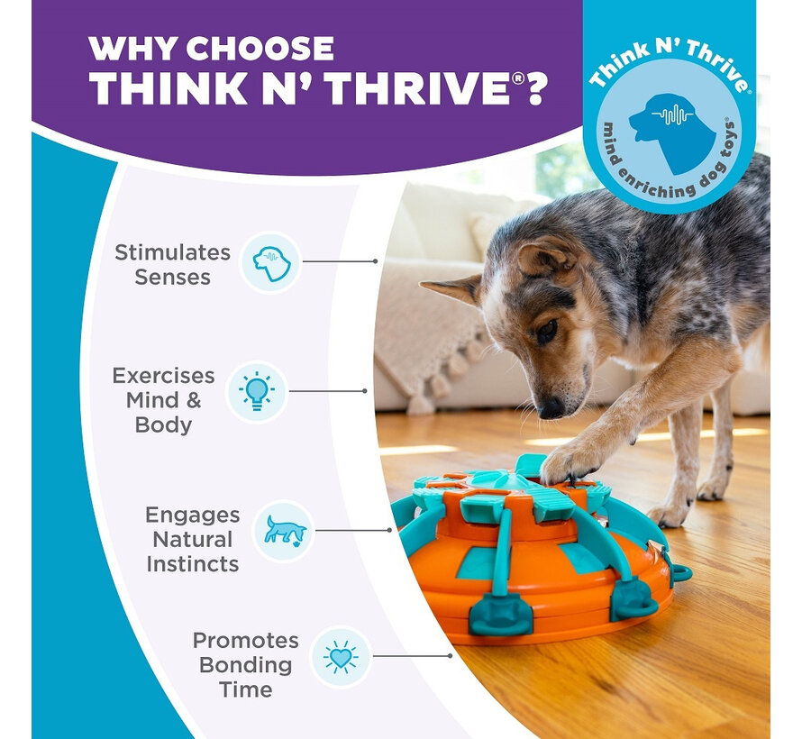 Dog Puzzle Tower of Treats (level 4)